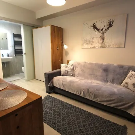 11-go 26 I 22 Listopada By Royal Aparts Apartamento